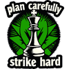 Schach plan carefully strike hard