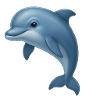 Dolphin love – free & playful