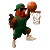 Huhn Hahn