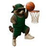 Waschbär
