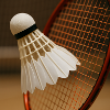 Badminton - Ball and racket