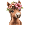 Flower pony with wreath