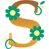 S