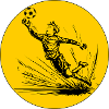 Goalkeeper (black and yellow)