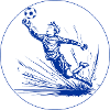 Goalkeeper (blue and white)