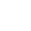 Foxhound américain - Chien