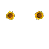 First, I'm a delight