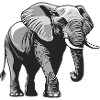 gray elephant