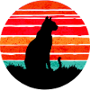 Cat at sunset