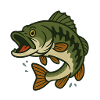 LargeMouth_Bass