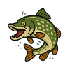 Pike