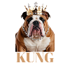 Bulldog King Sweden