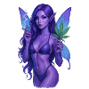 Elf Blaze