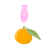 Pink cicada and Clementine