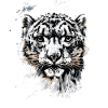 Schneeleopard Panther Raubkatze Großkatze Leopard