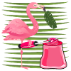 MANICURE PEDICURE FLAMINGO
