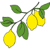 Lemon Branch