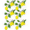 Lemon sprigs