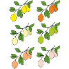 Citrus Sprigs