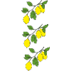Lemon Sprigs Triple
