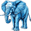 blue elephant