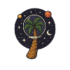 Palm tree in space