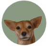 Solar