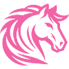 Design cheval rose pour l’équitation