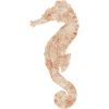 Hippocampe