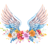 angelwings,engelsflügel,graffiti,bunt,blumen