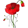 Blumen