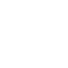 Doux bichon havanais - Chien