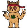 Haut Chat