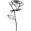 One Line Art Rose