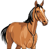 Portrait d’un cheval brun