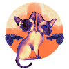 Siamese Cats