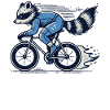 Witziger Waschbär auf Rennrad für Hobbyradler