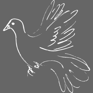 taube friedlichzusammen weiss