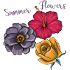 Summer Flowers