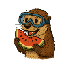 Otter with watermelon