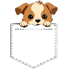 Cute Dog