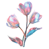 Tulpe