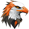 Eagle, Geometric, Illustration, Abstract, Bird