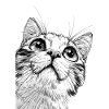 Schwarz-Weiß Mickey Katze