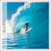 Surf
