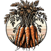 Carottes millésimées