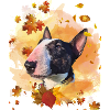 Miniatur Bullterrier Herbst