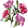 Bouquet Flowers