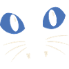 Blue-Eyed Cat