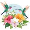 Colibri